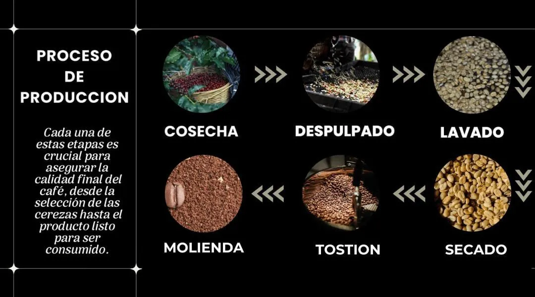 proceso de producción